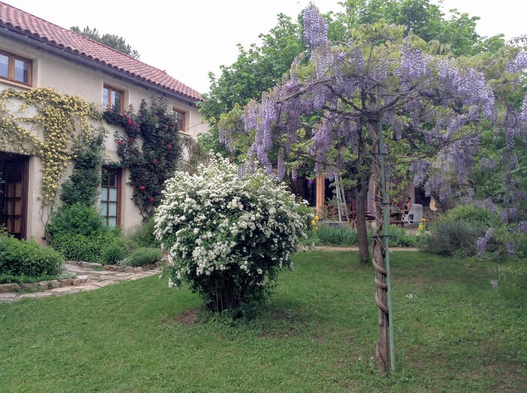 Paysannerie Des Versanes - Chambres Et Gite 托德弗赫 外观 照片